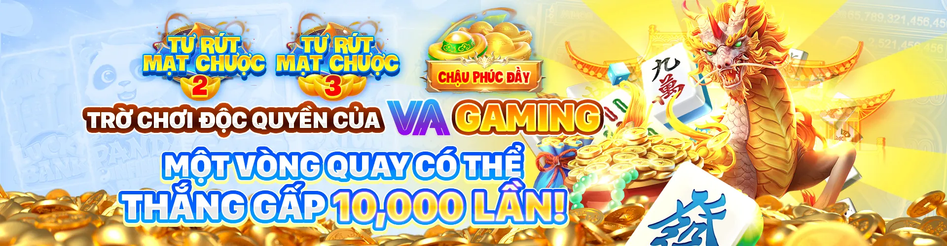 Tổng quan nền tảng dagacom